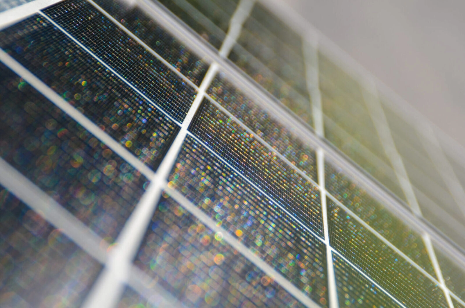 focus panneau solaire photovoltaïque Cimes Énergies